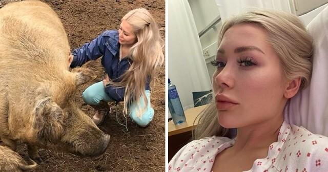 Норвежская блогерша едва не погибла во время селфи с домашней свиньей