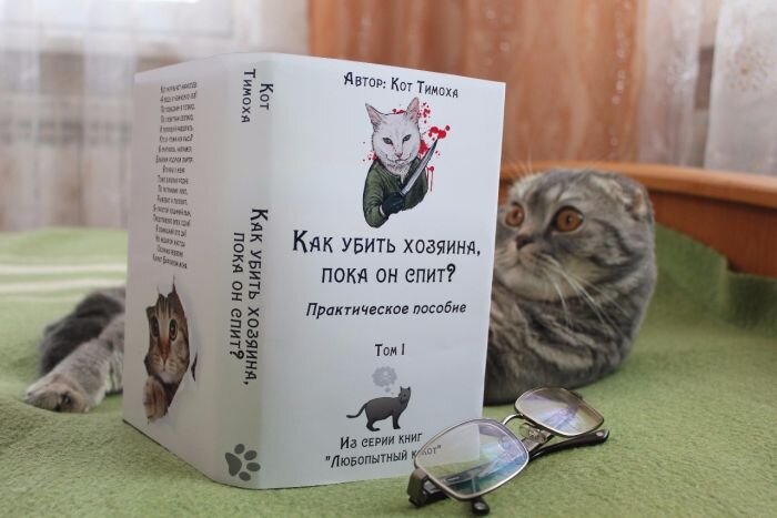 Кошка заперла в ванной собственную хозяйку. Ее пришлось вызволять спасателям