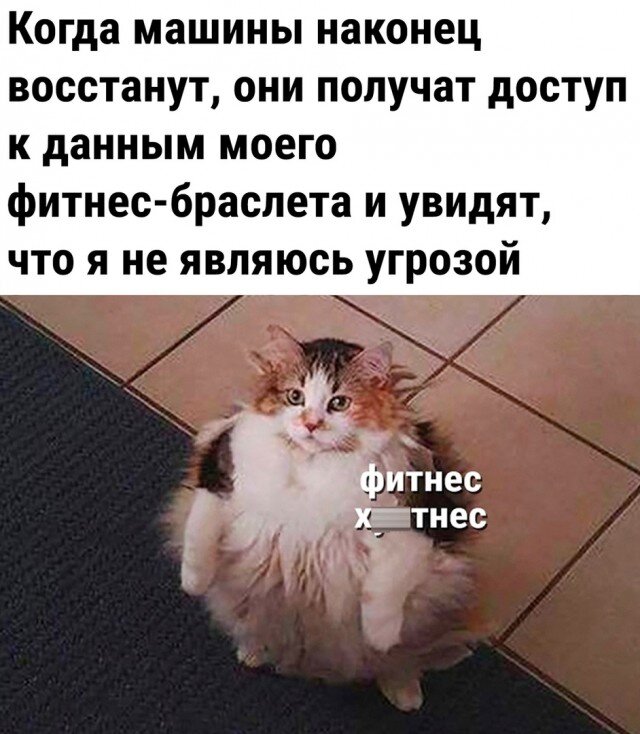 Юмор — новые юморные фото и картинки