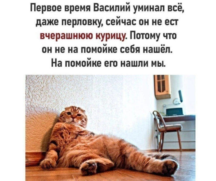 Сборник смешных мемов и позитивных фотографий