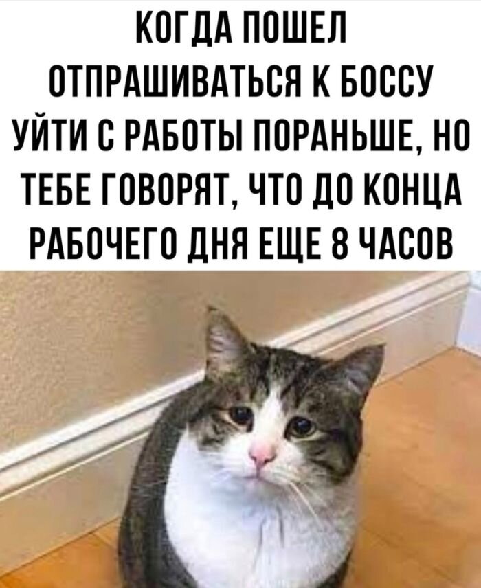 Добротные подборка юмора