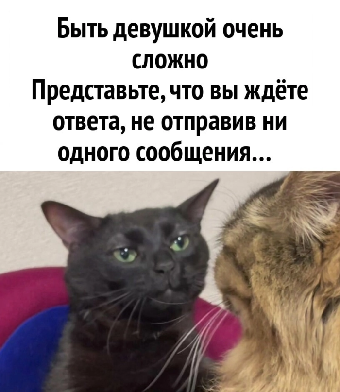 Добротные мемы для вашего настроения