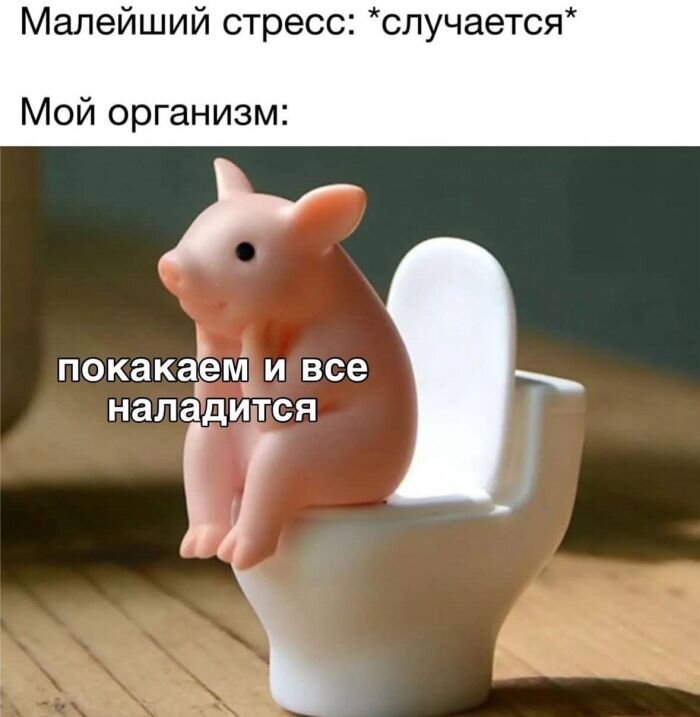 Самые юмористические картинки с подписями