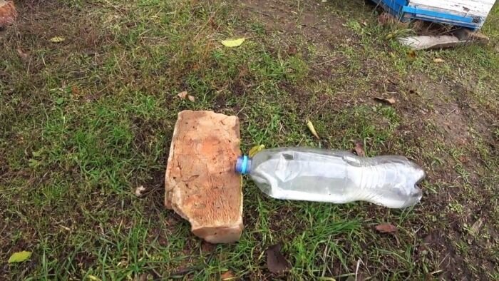 Элементарная мышеловка из пластиковой бутылки своими руками