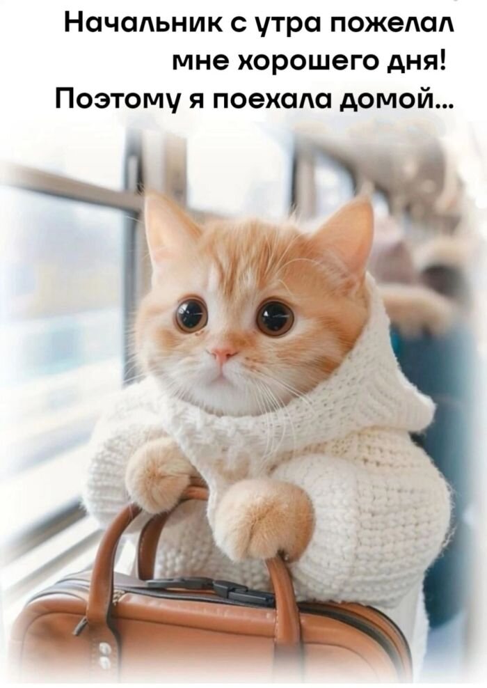 Большой сборник мемов и картинок для хорошего настроения