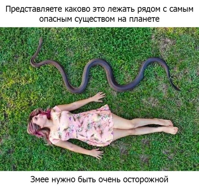 Самые веселые мемы и картинки с надписями