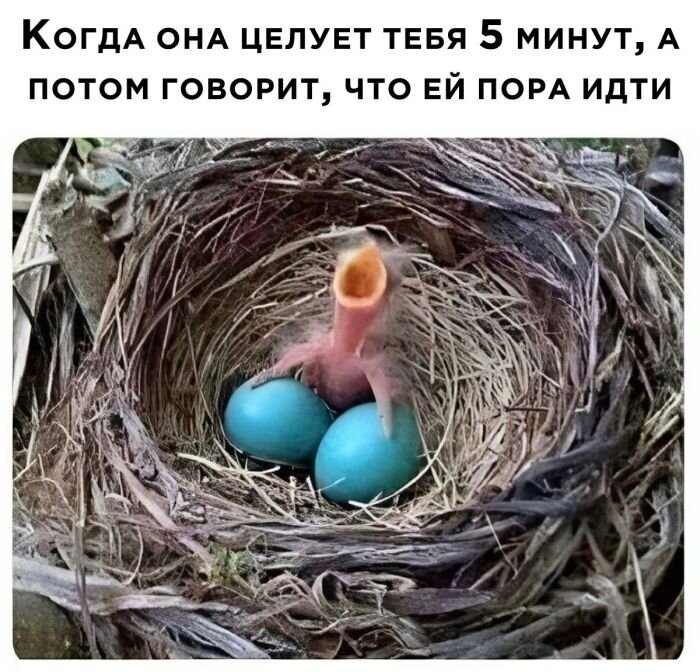 Смешные пошлые мемы со свежим Юмором из сети