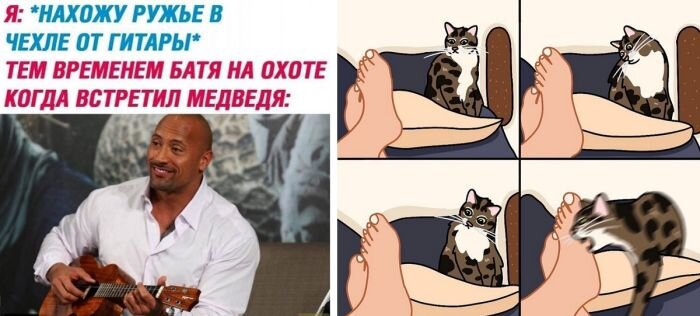 Веселые фото и прикольные картинки