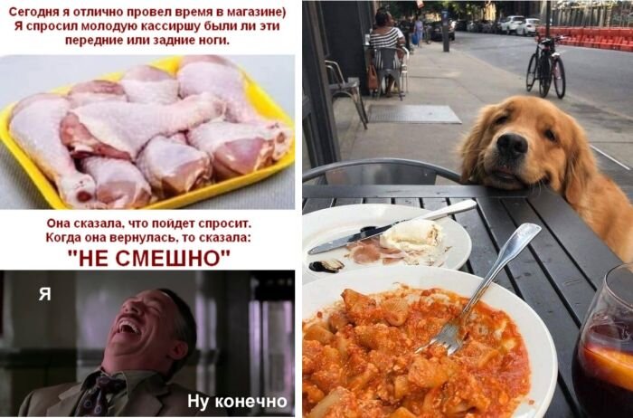 Новые смешные приколы