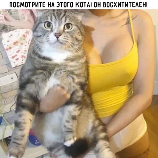 Неприличные картинки с надписями