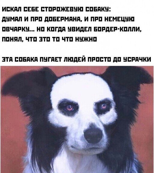 Новая порция невероятно смешных картинок