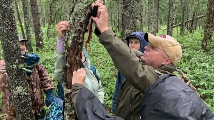 Находка на Сахалине, которая может спасти нашу планету