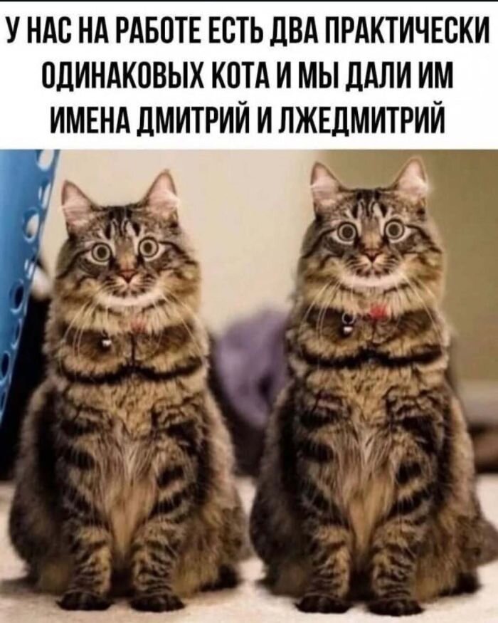 Отборный юмор в картинках и мемах с надписями