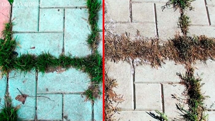 Как избавиться от травы между плиткой и брусчаткой