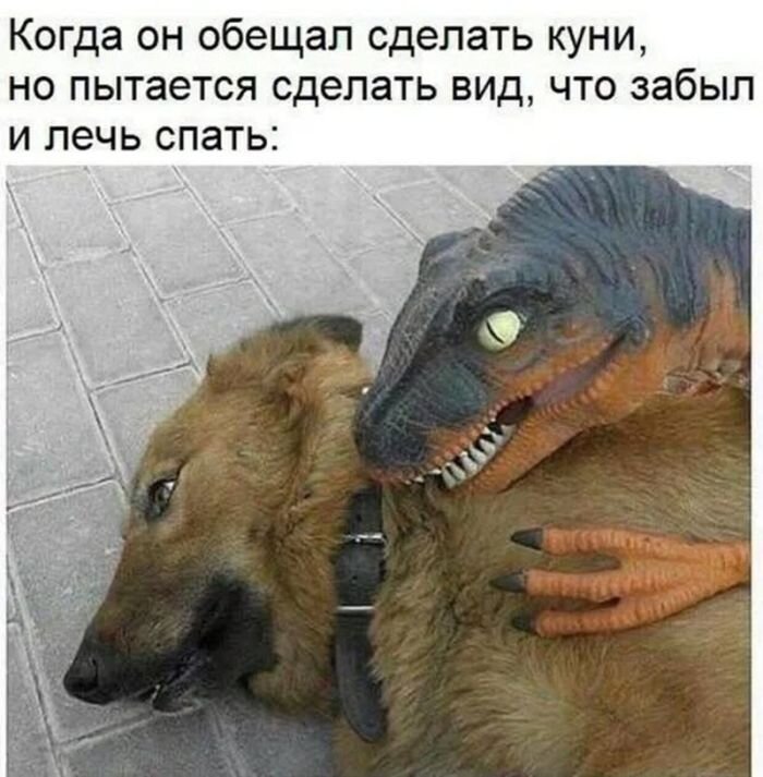 Мемы, которые заставят вас смеяться до слез