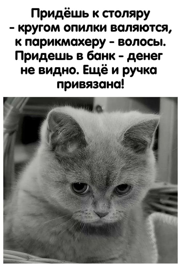 Подборка картинок с надписями на понедельник