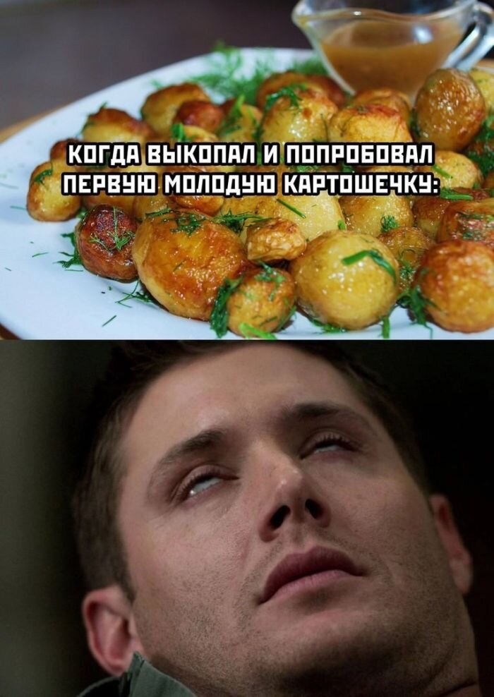 Юмора и позитива Подборка