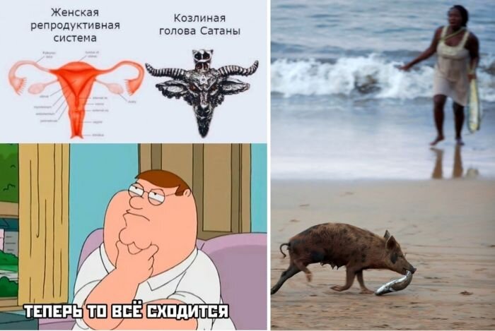 Прикольные и позитивные фотографии и картинки