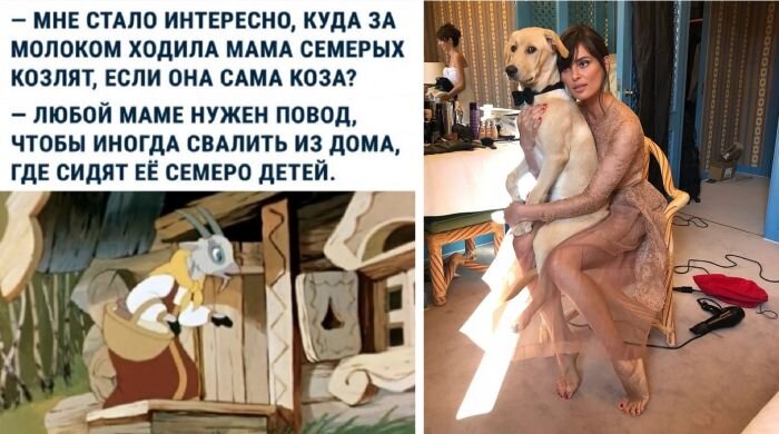 Для хорошего настроения мемы и фотографии