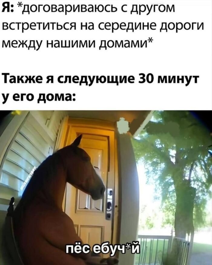 Лучший Юмор и Приколы для настроения