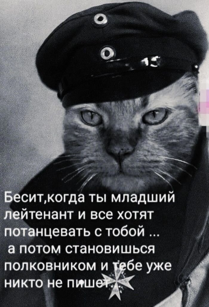 Лучшая подборка прикольных картинок и фотографий