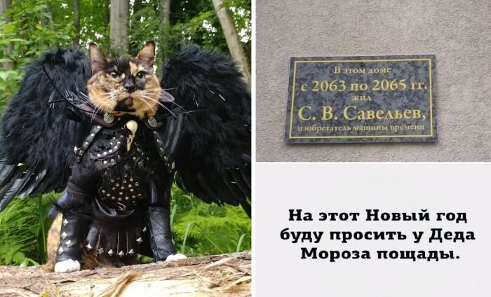 Мемы и фото для хорошего настроения