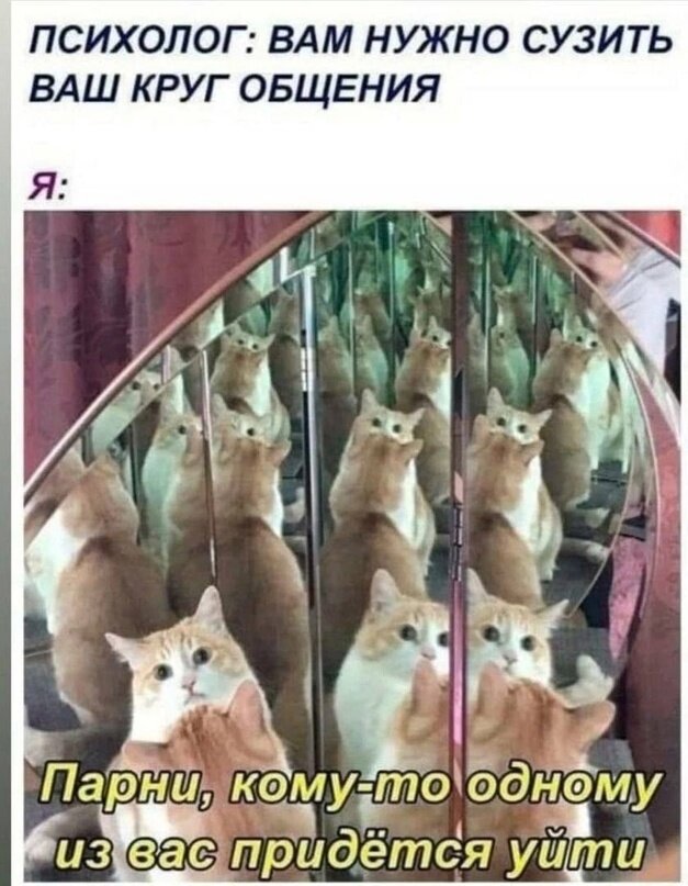 Подборка смешных фото и картинок в мемах