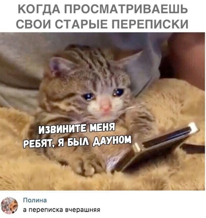 Сборник прикольных картинок и забавных комментариев