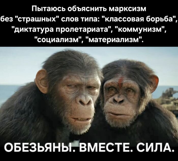 Юмор из интернета в самых смешных  картинках с Надписями