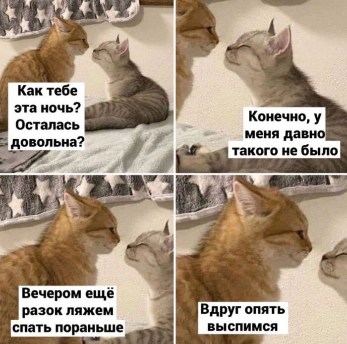 Подборка безбашенных приколов