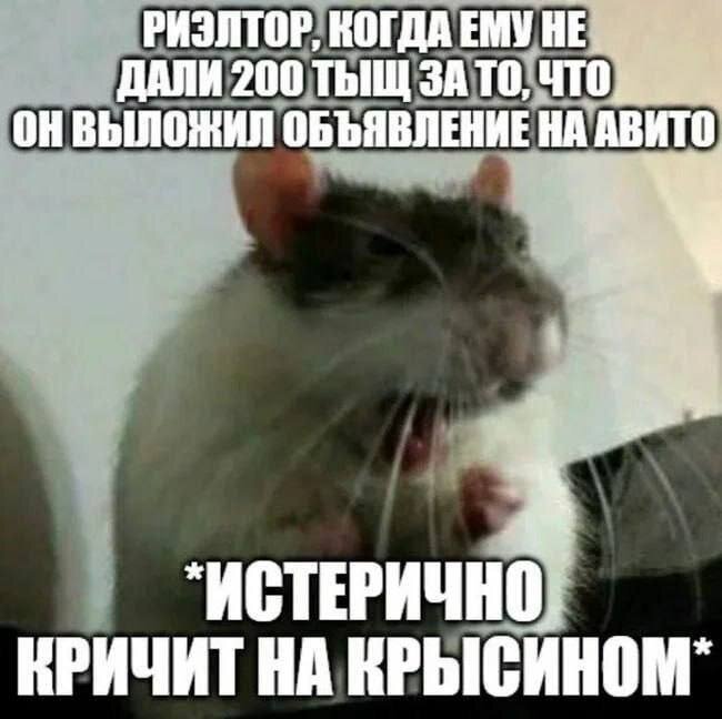 Сборник юмора в котором Мемы выходят на новый Уровень