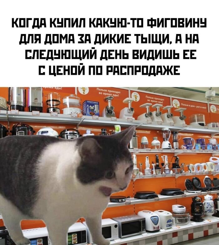 Смешные картинки и прикольные фото для хорошего настроения