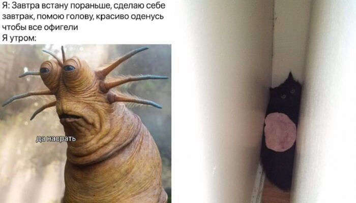 Позитив, мемы и фотографии для поднятия настроения