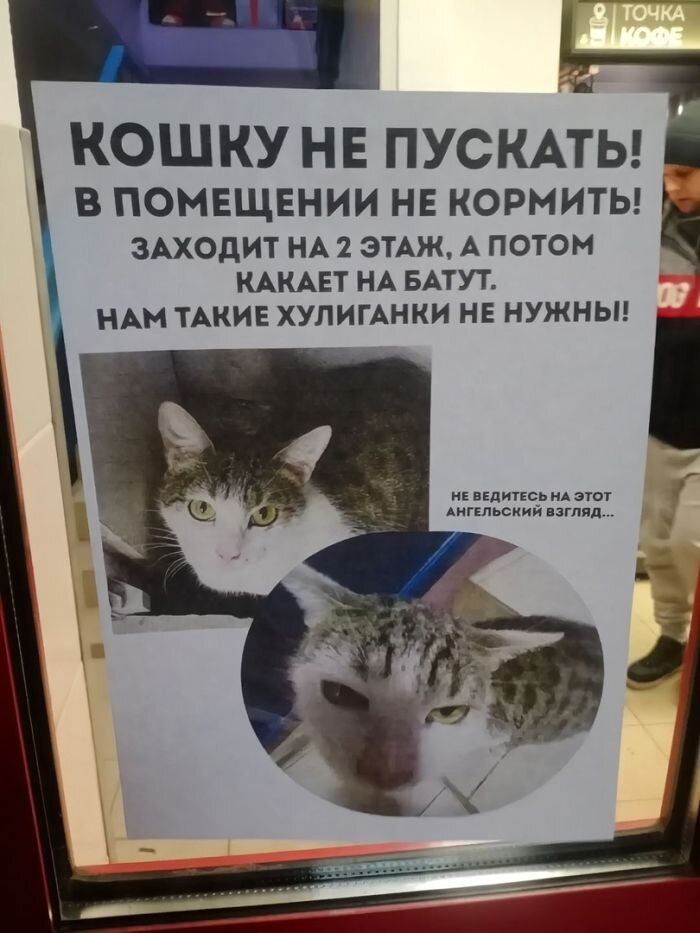 Большой сборник прикольных фото для хорошего настроения