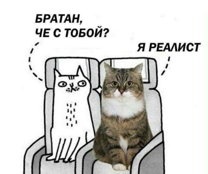 Приколы в смешных Картинках с Надписями и Мемах