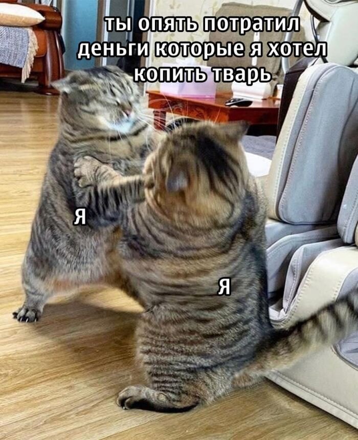 Самые смешные мемы и картинки для настроения