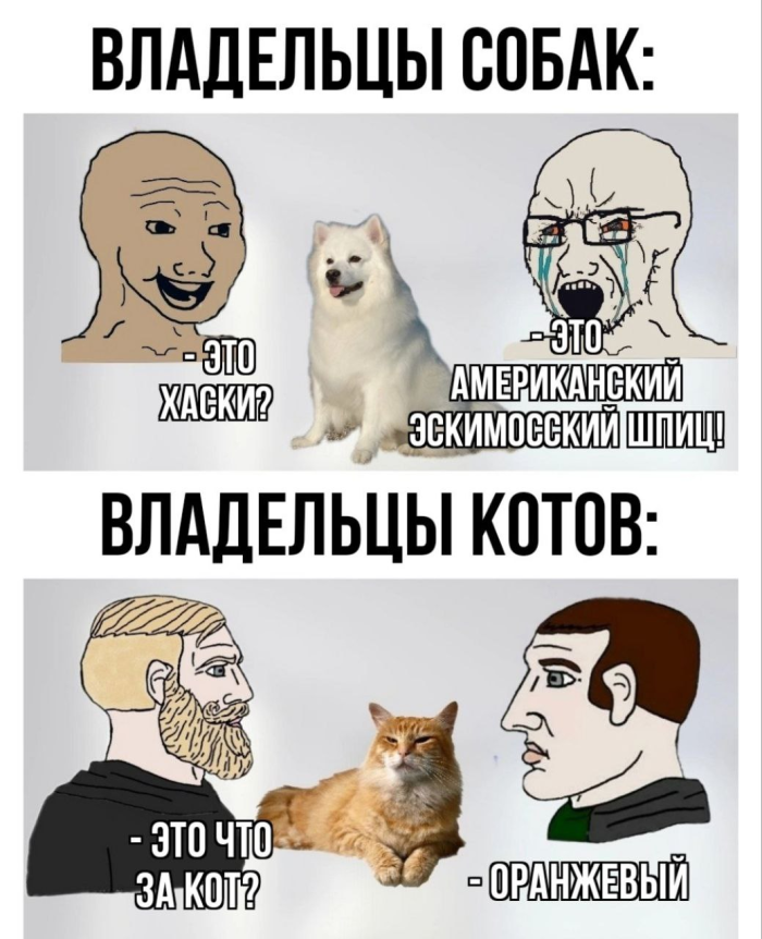 Новая подборка юмора и приколов в смешных Мемах