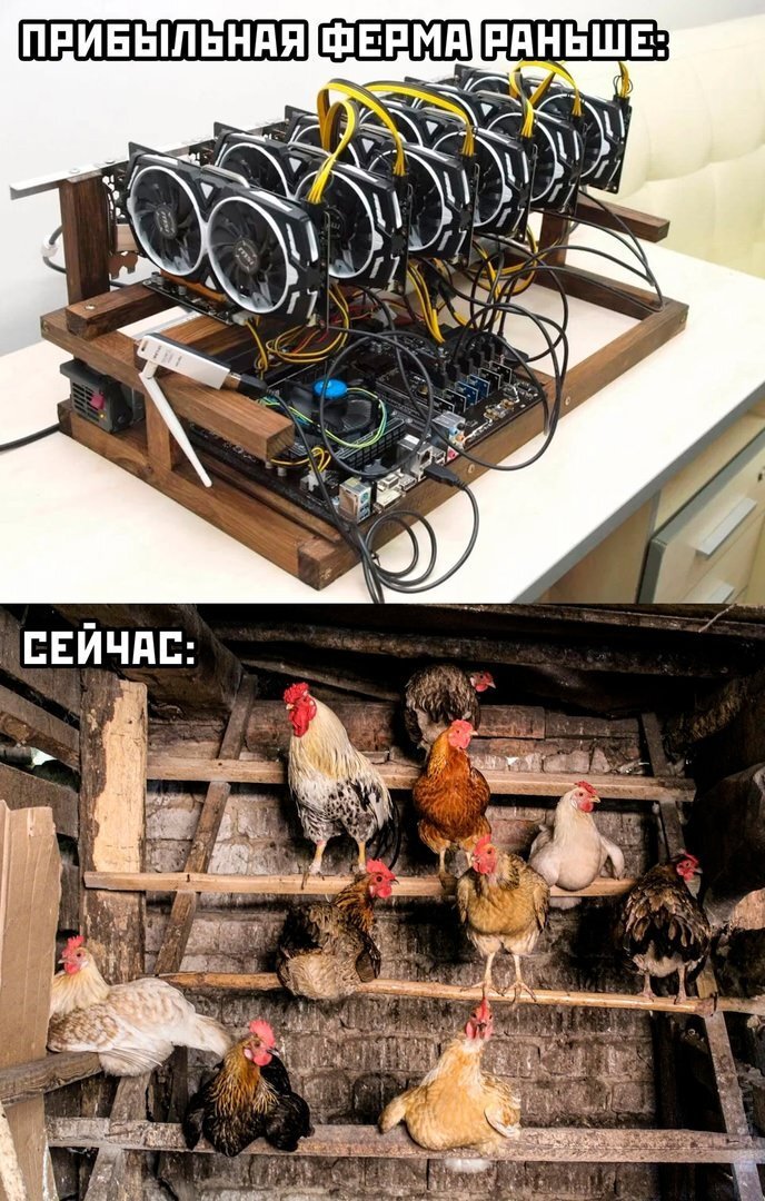 Прикольные Фото приколы и веселые Картинки с надписями