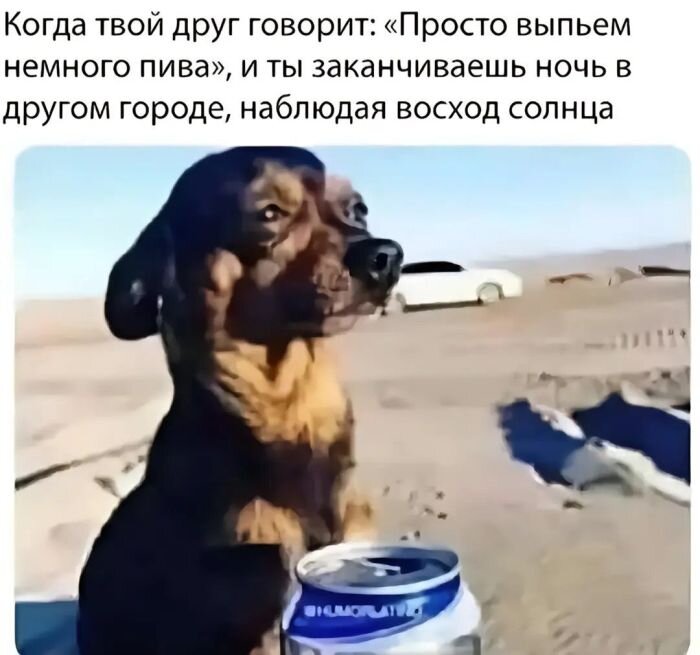 Юмор из интернета в картинках с подписями