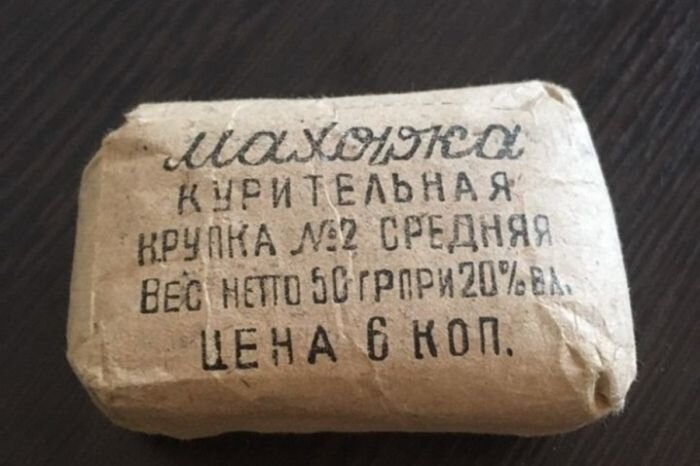 Махорка: что это за растение и чем оно отличается от обычного табака