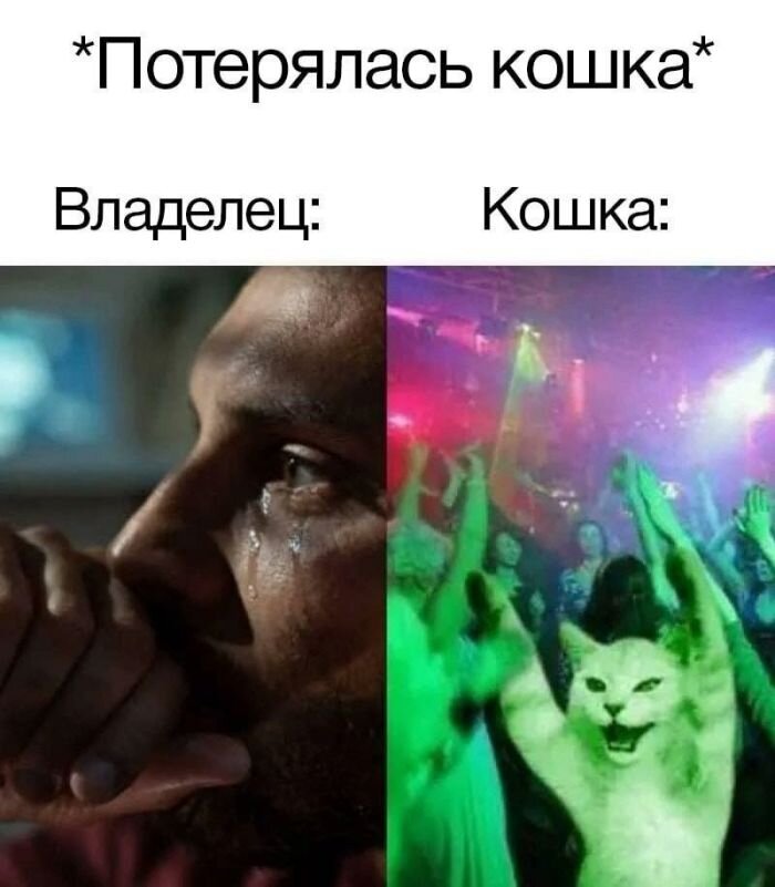 Подборка новых приколов в картинках и мемах