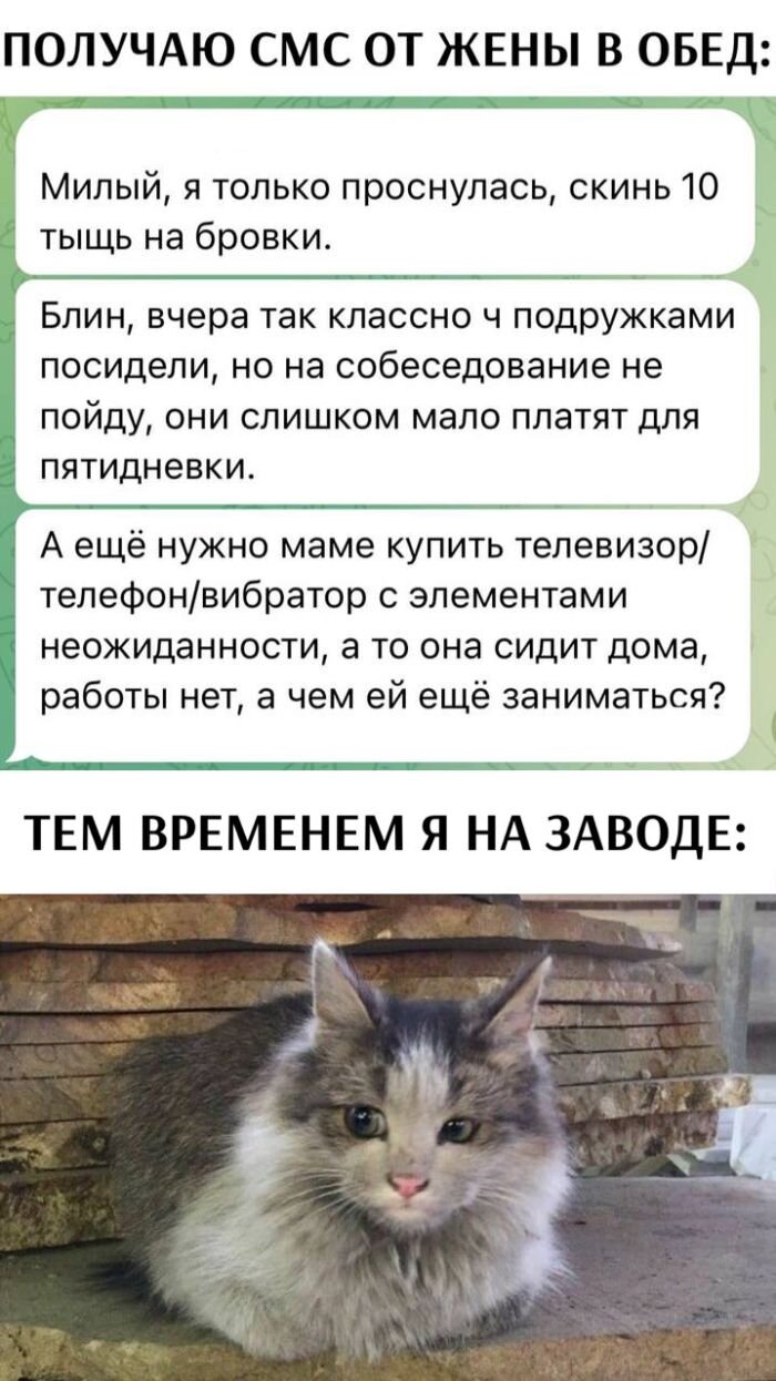 Подборка интересных, позитивных мемов с Юмором