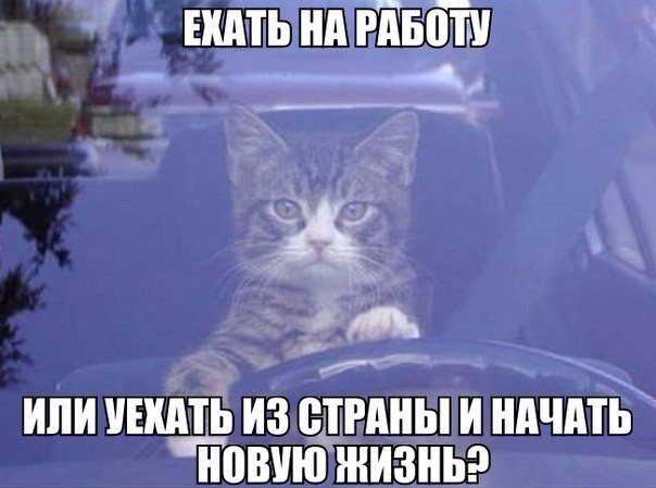 Забавные картинки и фотографии для поднятия настроения