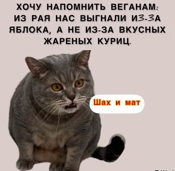 Смешная подборка фото приколов