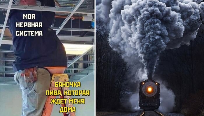Подборка самых лучших и смешных картинок