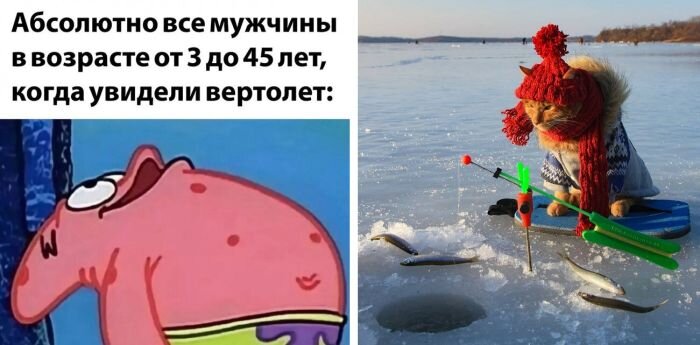 Смешные прикольные картинки и фото
