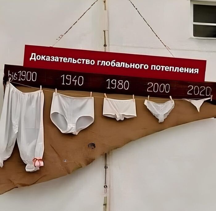 Самые смешные весёлые фото, приколы, картинки
