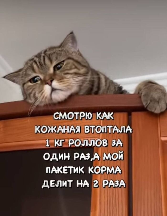 Сборник смешных картинок и юмора из интернета