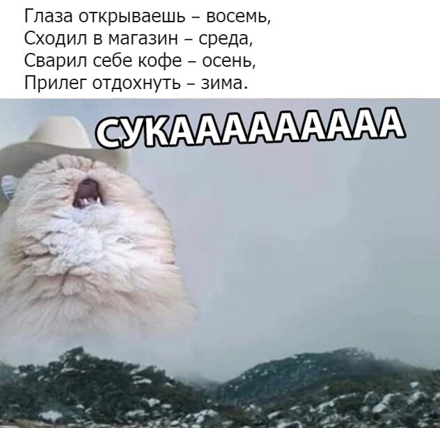 Большой сборник картинок и прикольных мемов для настроения