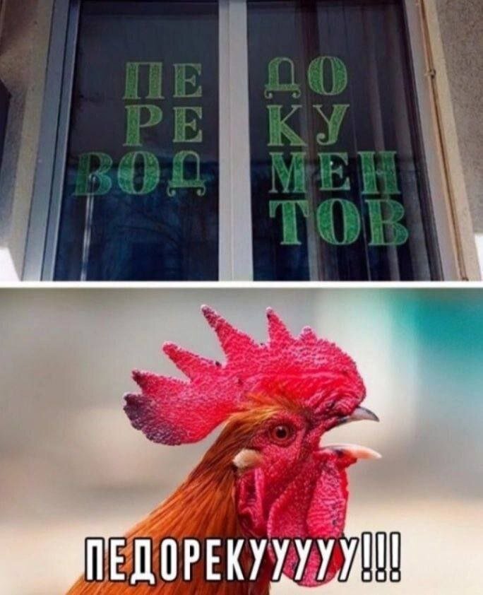 Лучший сборник шуток в мемах на выходные